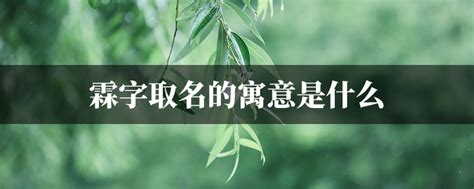 霖取名意思|霖在名字里什么意思